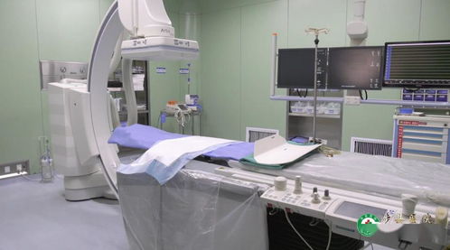 涉縣醫院心血管內科 高端設備與專業技術并重，信息技術咨詢服務提供精心守護